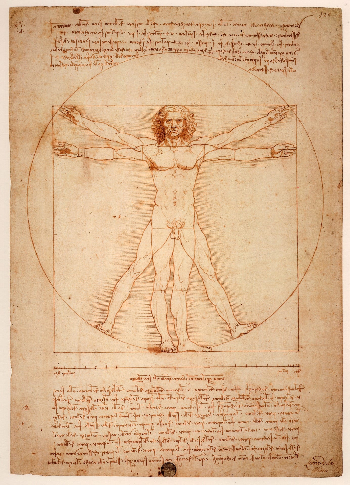 leonardo da vinci 1125056 1920